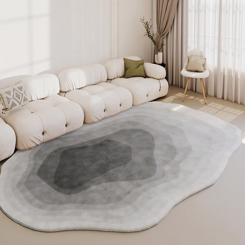 Tapis de salon lavable et léger à texture douce et épaisse