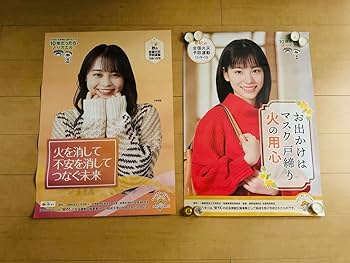 Amazon.co.jp: 林芽亜里 當真あみ B2ポスター全国火災予防運動