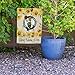 Rico Industries NBA Basketball Celtics Sunflower Spring Personalized Garden Flag