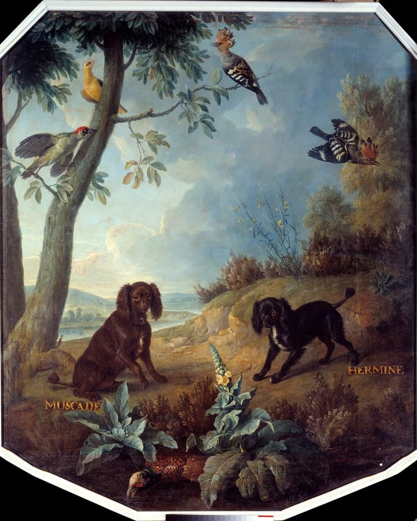 Pintura sobre lienzo de los perros de Luis XIV de Desportes para decoración, 60x90cm 5