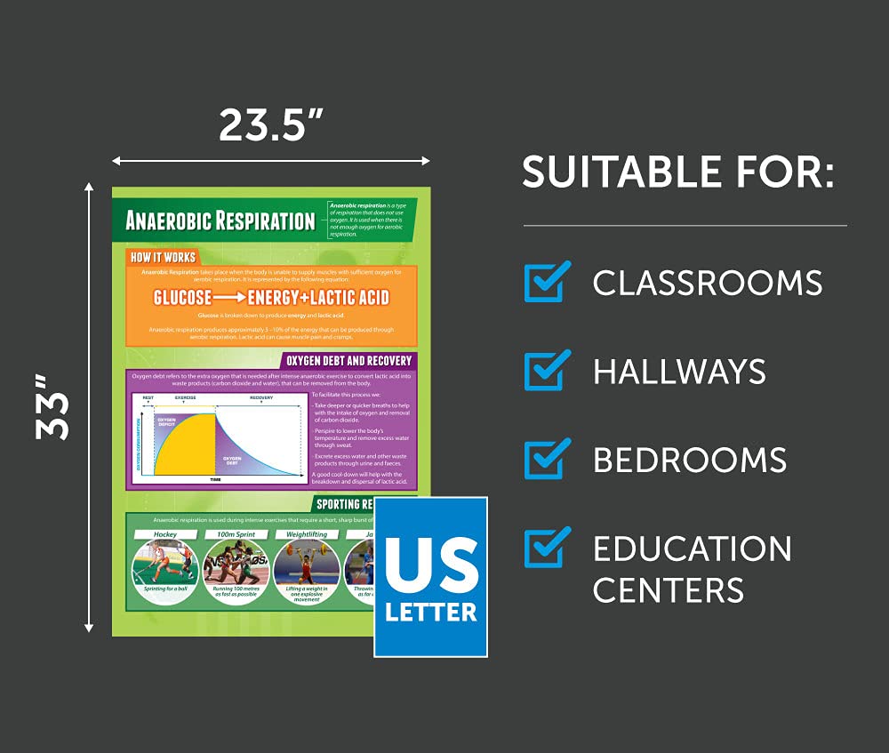 Daydream Education Anaerobic Respiration | PE Posters | Laminated Gloss Paper measuring 33” x 23.5” | Physical Education Charts for the Classroom | Education Charts