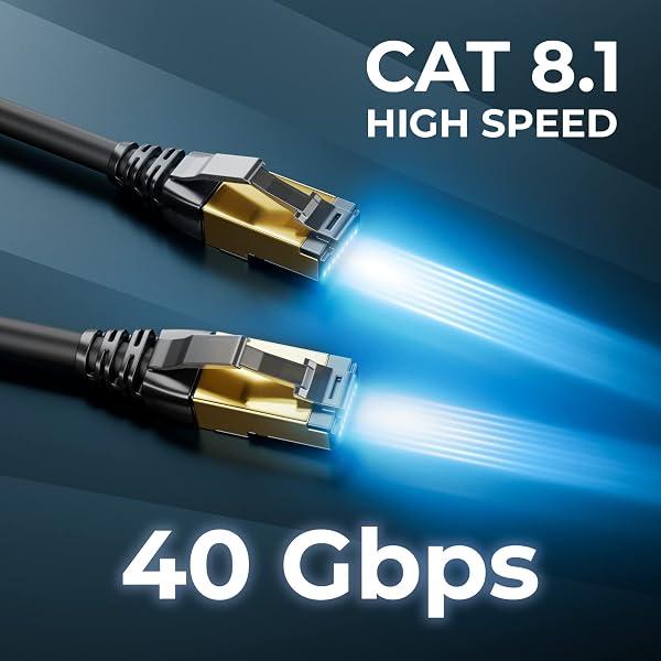 deleyCON 1m Cavo LAN CAT8.1 Patch Rete - Cavo RJ45 LAN DSL Rame Schermatura S/FTP 2000 MHz 40 Gbit - CAT.8 Ethernet Connettore RJ45 Placcato Oro - Nero - 3