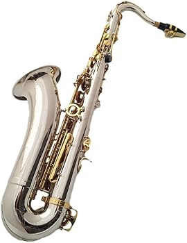 ゴールドサックス本体 ケース付き 61doWOvN4DL._AC_UF350,