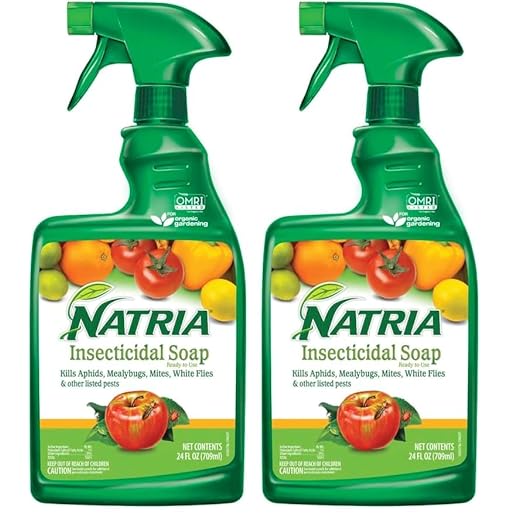 Natria Insecticidal Soap, Ready-to-Use Garden Bug Treatment, Insect Killer for Indoor and Outdoor Plants, 24 Ounce (Pack of 2)