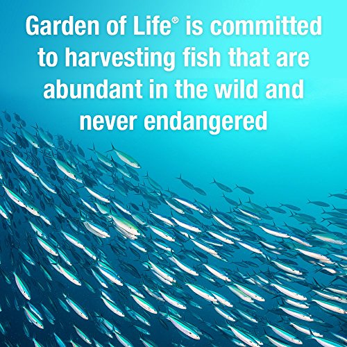 Garden Of Life Ultra Pure Epa/Dha Omega 3 Fish Oil - Oceans 3 Beyond Omega 3 Supplement With Antioxidants, 60 Softgels #TOP6