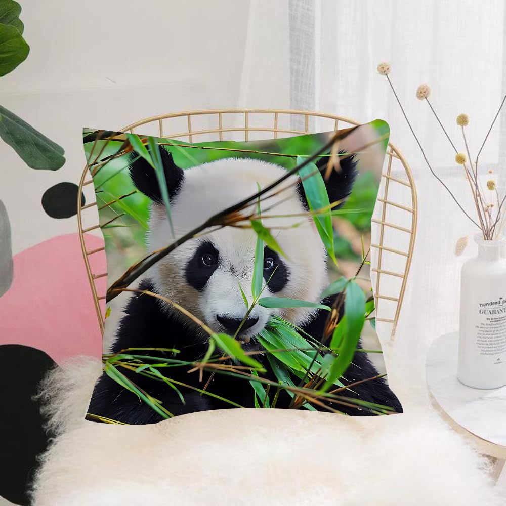 HYOSXW Cushion Cover,Throw Pillow Case Home Decorative for Living Room Bedroom Sofa Chair 16X16 Inch,Panda, close-up of panda cub eating bamboo leaves,Pillowcase 40X40cm