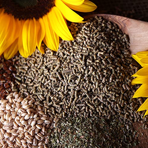 WachtelGold® Wachtelkorn ProVital 2,5 kg – hochwertiges Alleinfutter für Legewachteln | Kräuterkomplex aus Oregano, Thymian & Spirulina | unterstützt Verdauung & Vitalität | ohne Gentechnik & Palmöl