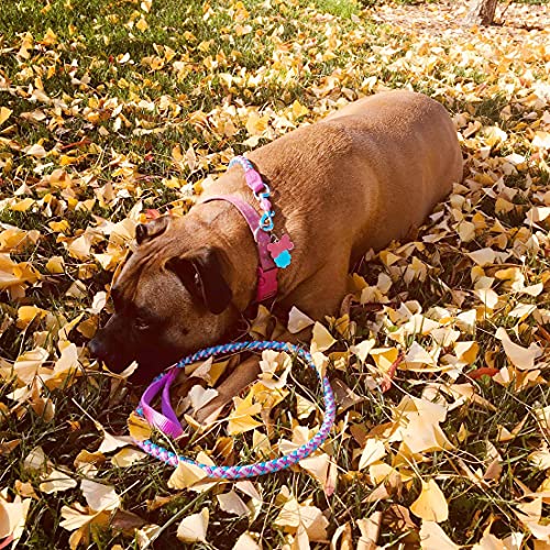 Mycicy 3ft 4ft 6ft 10ft Reflective Dog Leash, Nylon Rope Braided Heavy Duty Dog Training Leash for Large Medium Small Dogs Walking Lead - Thumbnail 7