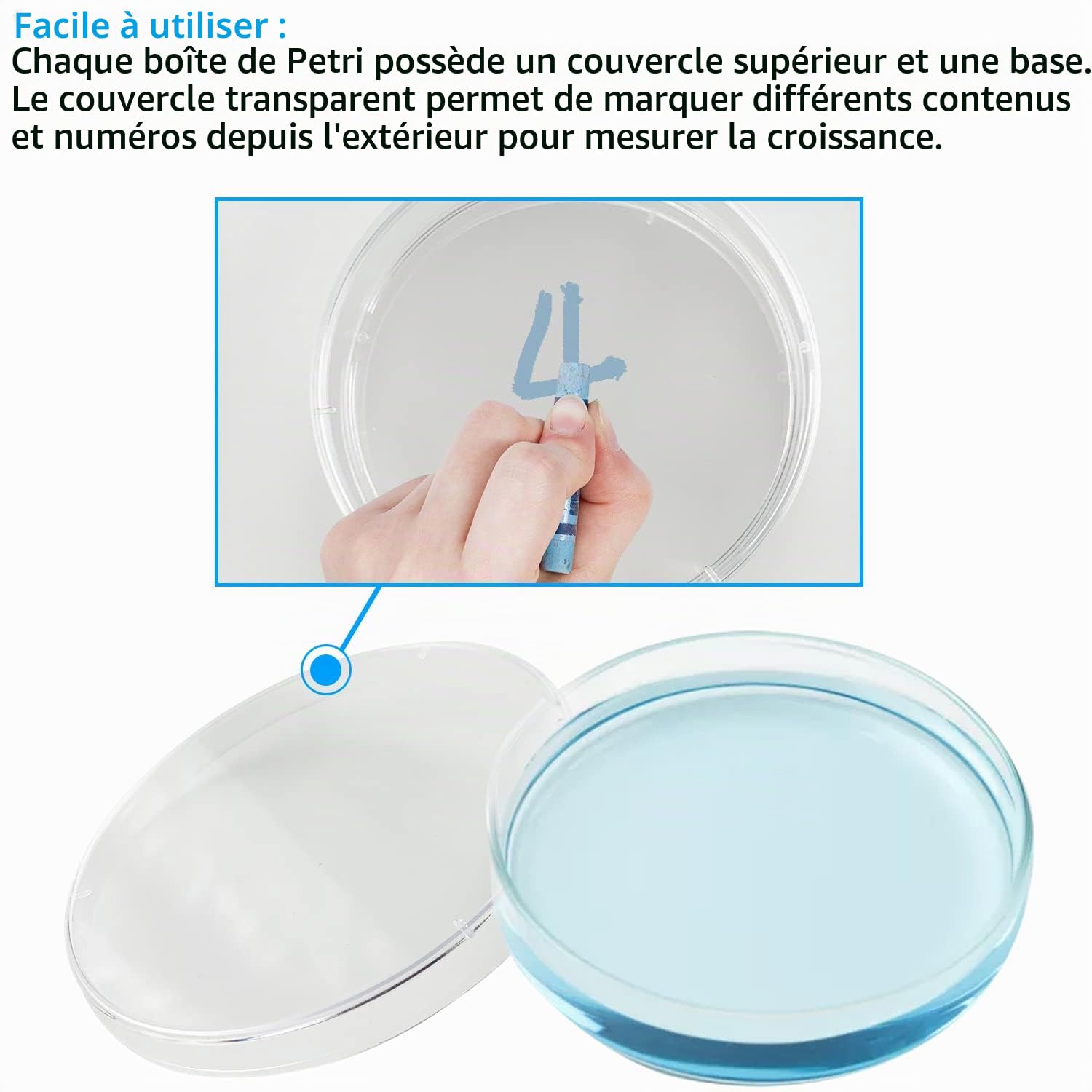40 Pièces Pétri en Plastique, Boîte de Pétri Transparente Stérile avec 12 Pipettes de Transfert et 6 Pinces à épiler, pour Tissus Cellulairesde Culture