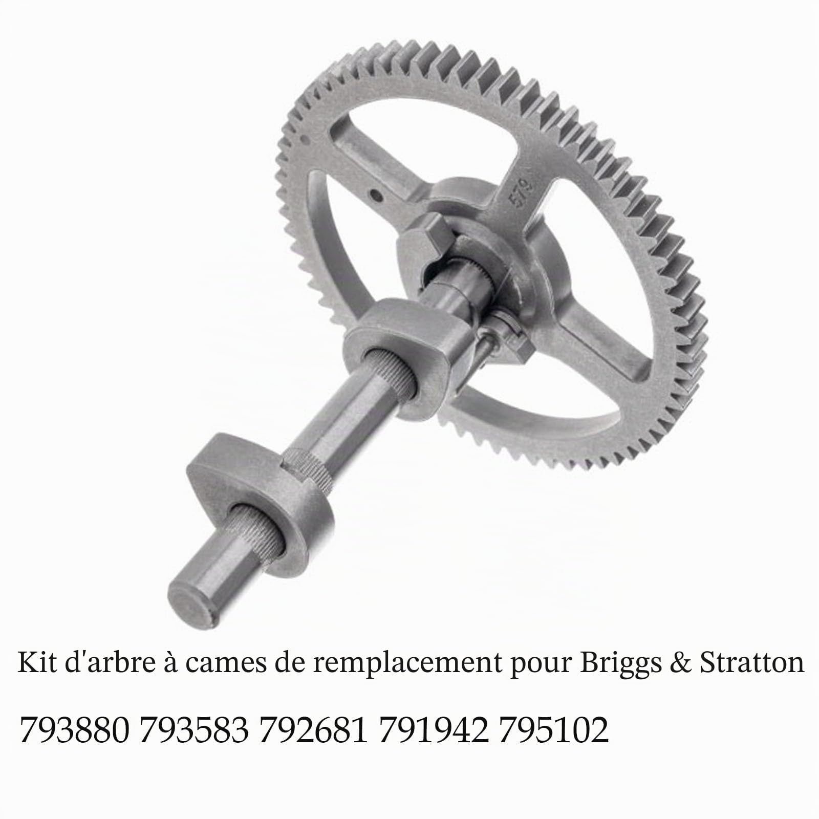 Compatible avec arbre à cames 793880 pour Briggs & Stratton 793583 792681 791942 795102 Kit d'arbre à cames avec joint 697110, joint d'huile 795387