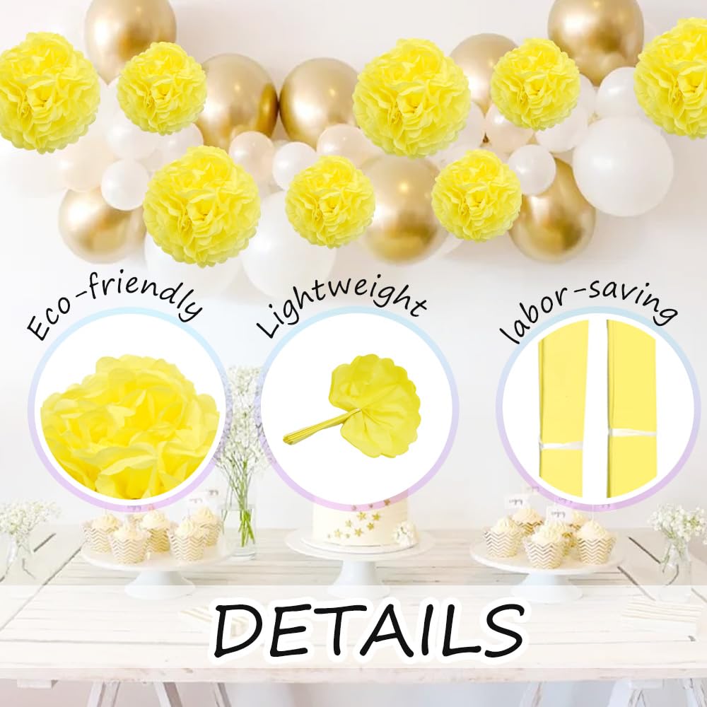 Lot de 12 fleurs en papier de soie de 20,3 cm et 25,4 cm à suspendre