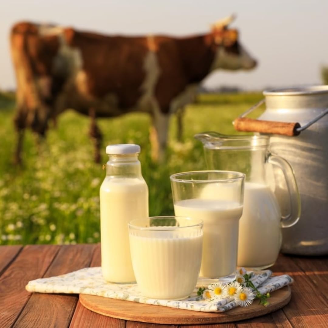 Mit Pufai Grocery Dehlwes Haltbare Milch H-Milch mit%3,8 Fett ultrahocherhitzt, homogenisiert 1000 Mililiter x 24 STÜCK