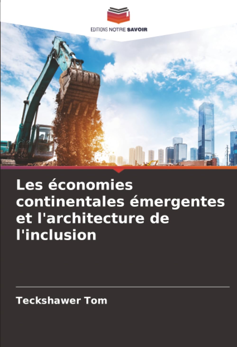 Les économies continentales émergentes et l'architecture de l'inclusion
