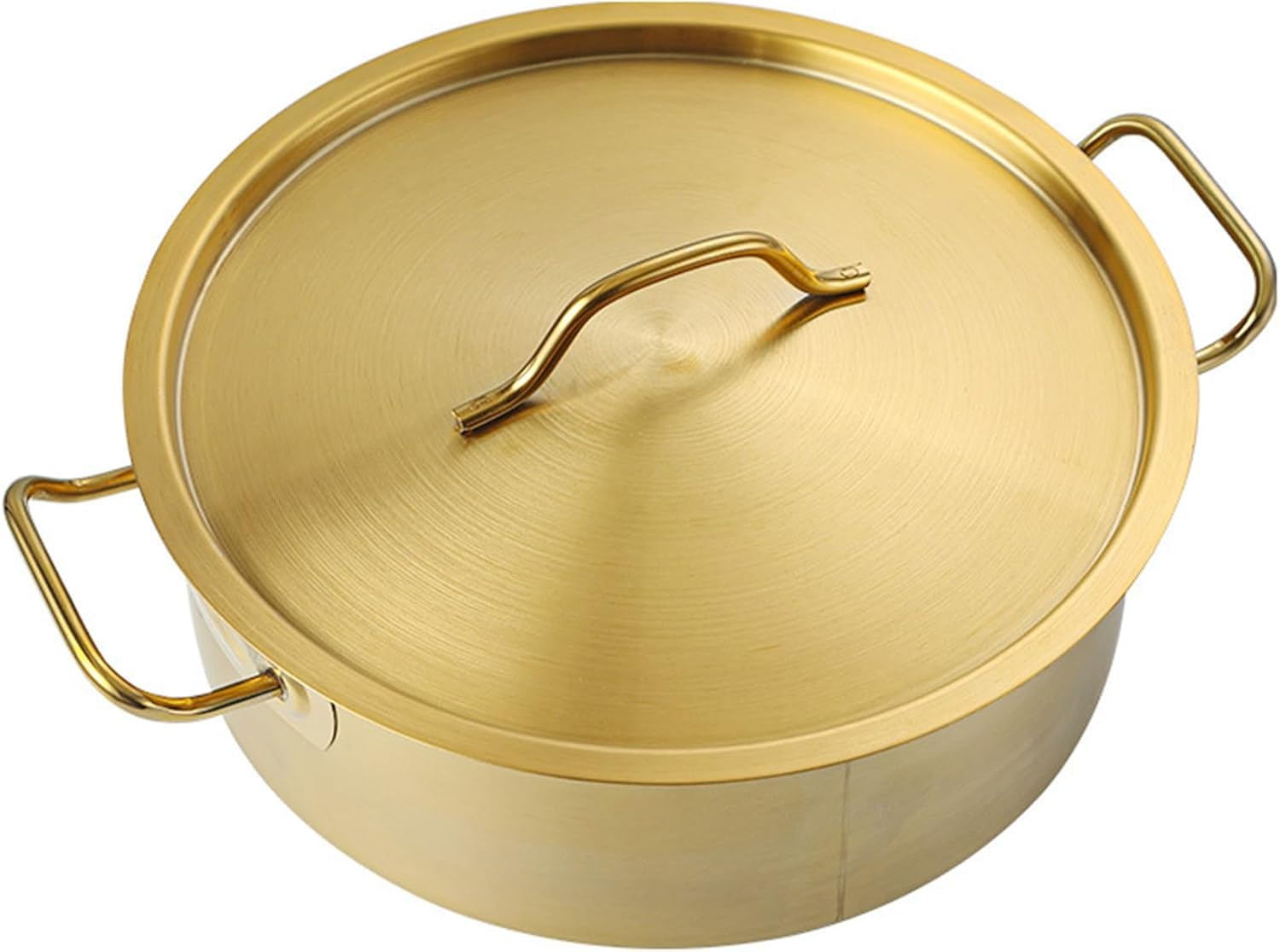 Olla grande de acero inoxidable con tapa, compatible con inducción, para sopa, pasta, guiso, duradera y versátil, esencial para la cocina, 4,8 L