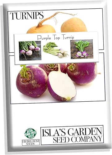 Miniatura 4 de Semillas de nabo púrpura para plantar, más de 1000 semillas de reliquia por paquete, semillas de jardín de Isla (semillas de jardín de Isla),