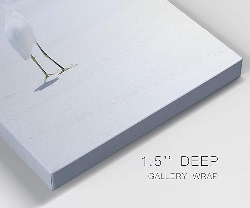 Miniatura 6 de Renditions Gallery Arte de pared de garza de verano I, decoración en lienzo de alta calidad con envoltura de galería, listo para colgar, 16 pulgadas