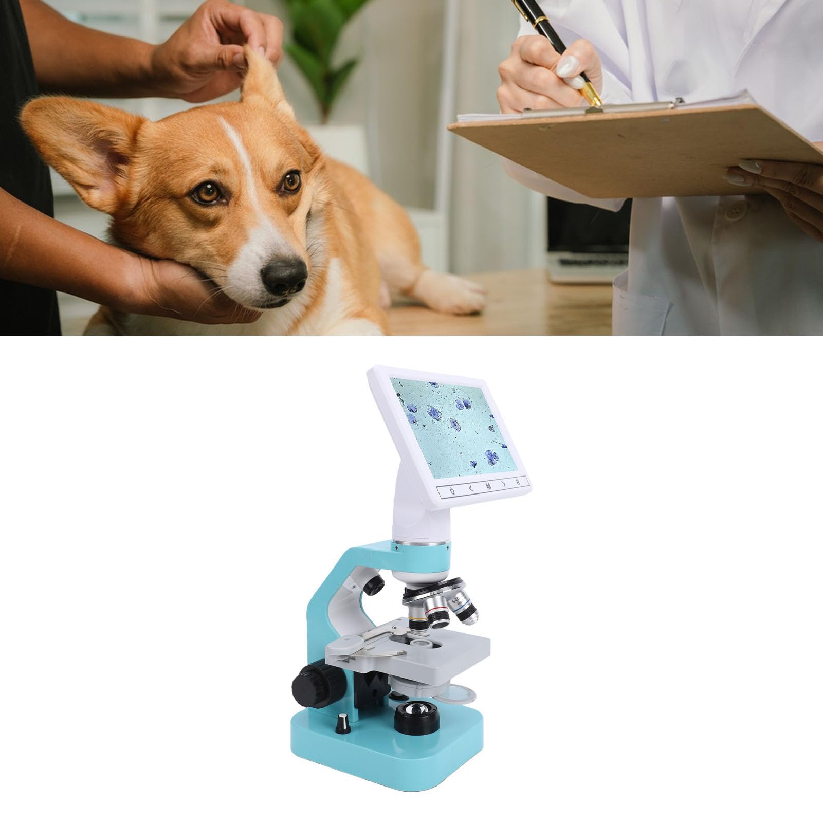 Generic Microscopio Binocular para Mascotas Microscopio Binocular Veterinario de Ovulación Animal Pantalla de 7 Pulgadas 4X 10x 40x Objetivos Acromáticos Luz LED para