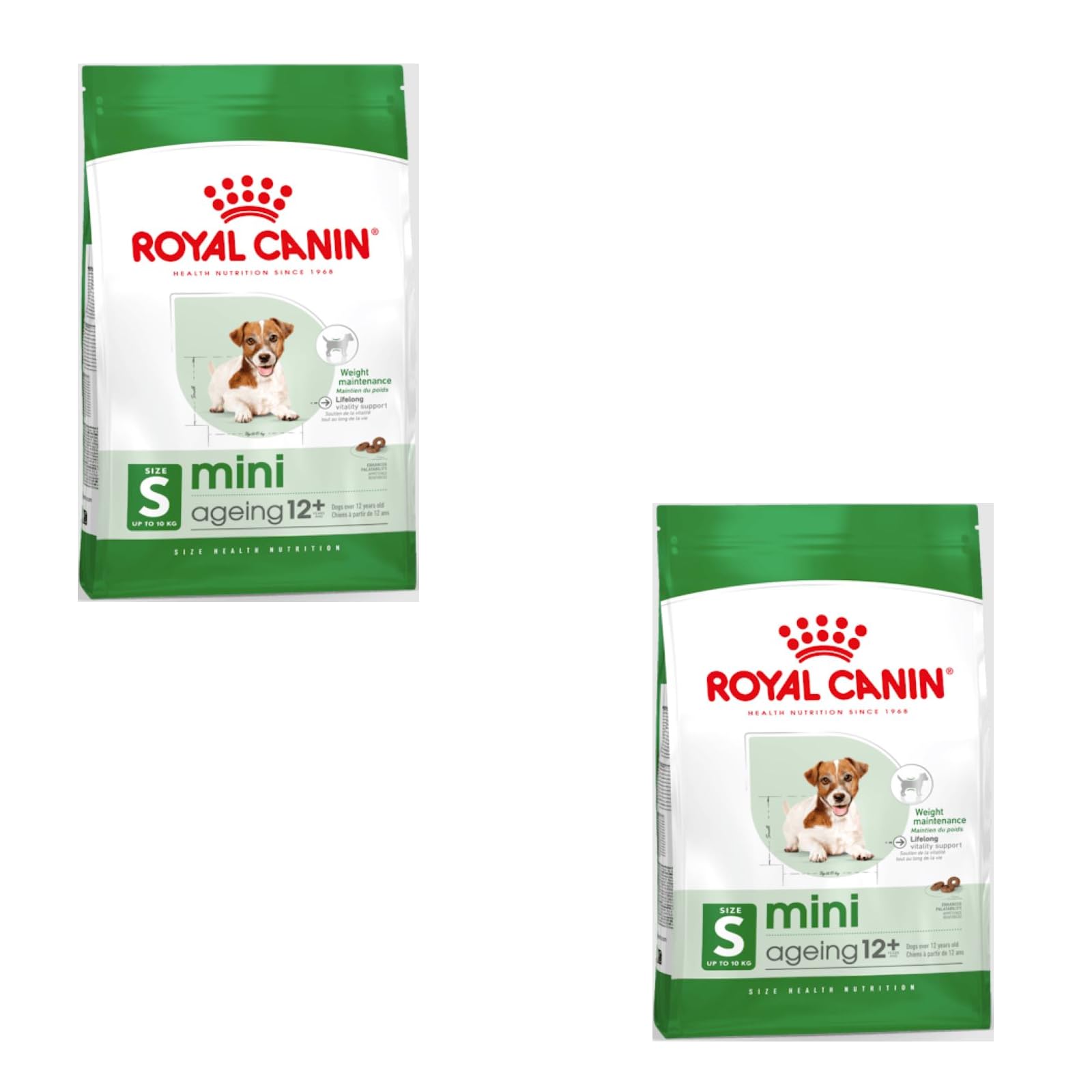 Royal Canin Mini Ageing 12 + | Envase Doble | 2 x 800 g | Alimento Completo para Perros pequeños de hasta 10 kg | A Partir de los 12 años | Favorece la Salud renal