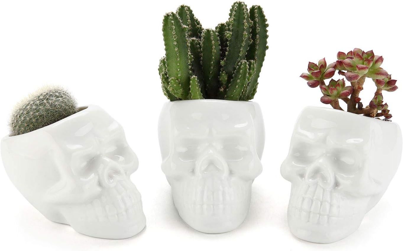 T4U White Ceramic Skull Shaped Succulent Planter Pots Set of 3, Cute Cactus Plant Pot Creative Pen Pencil Holder for Home Office Desk Decoration Birthday Wedding