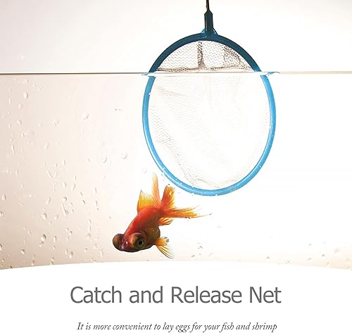 Miniatura 8 de 60 piezas de cangrejo, herramienta fina, renacuajos, tamiz de red rápida, liberación de malla, salmuera con cielo, camarones, acuario