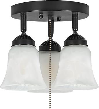 3-Light Flush Mount Ceiling Light with Pull Chain Alabaster Glass Low Profile Lighting Fixtures for Kitchen Living Room Dining Room Closet, Black