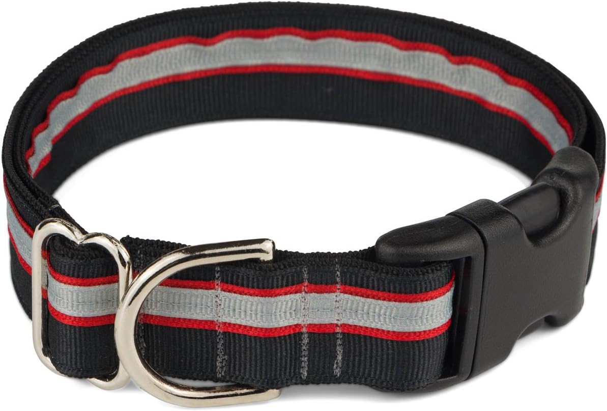 If It Barks 1" Designer Striped Dog Collar (Small (11"-15"), Rescue)