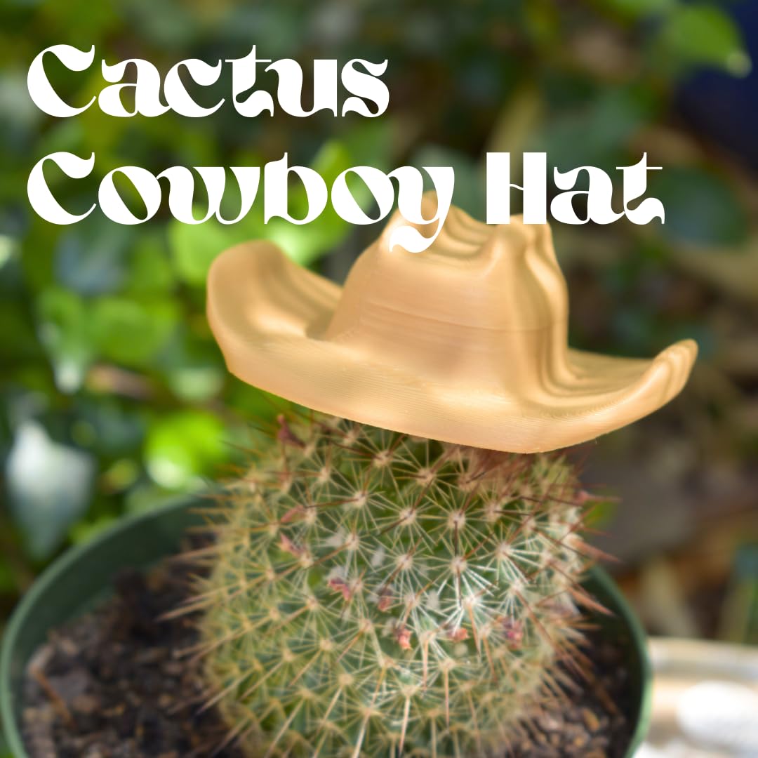 Amazon.com: Cactus Cowboy Hat | Decorate Cactus or Other Houseplants with  Cactus Cowboy Hat | Cactus Houseplant Decorations | Made in USA (Large) :  Clothing, Shoes & Jewelry