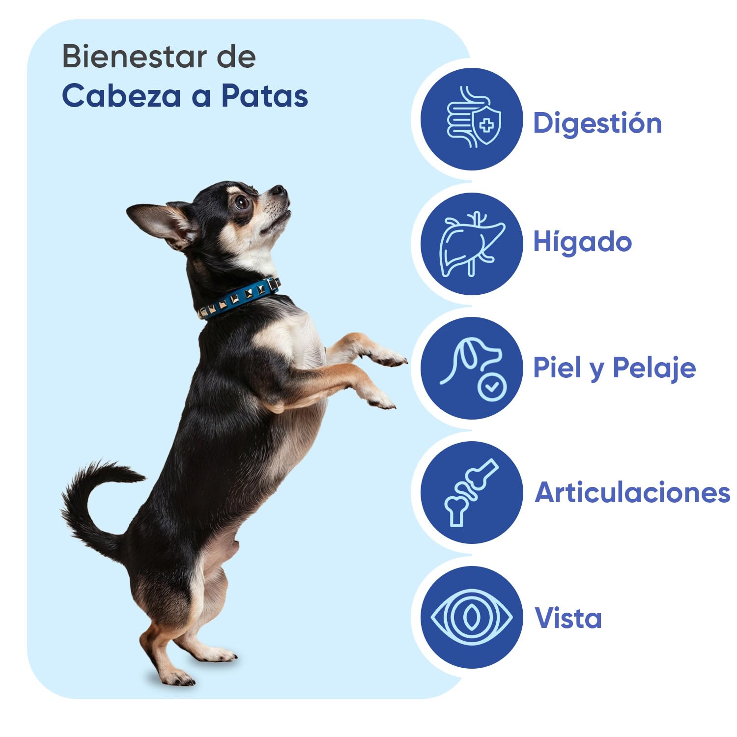 Multivitaminas y Minerales para Perros - 120 Masticables, 18 Vitaminas y Minerales para Apoyo Inmunológico, Piel, Pelo y Articulaciones - Ideal para Todas las Razas y Tamaños, Mayores y Cachorros