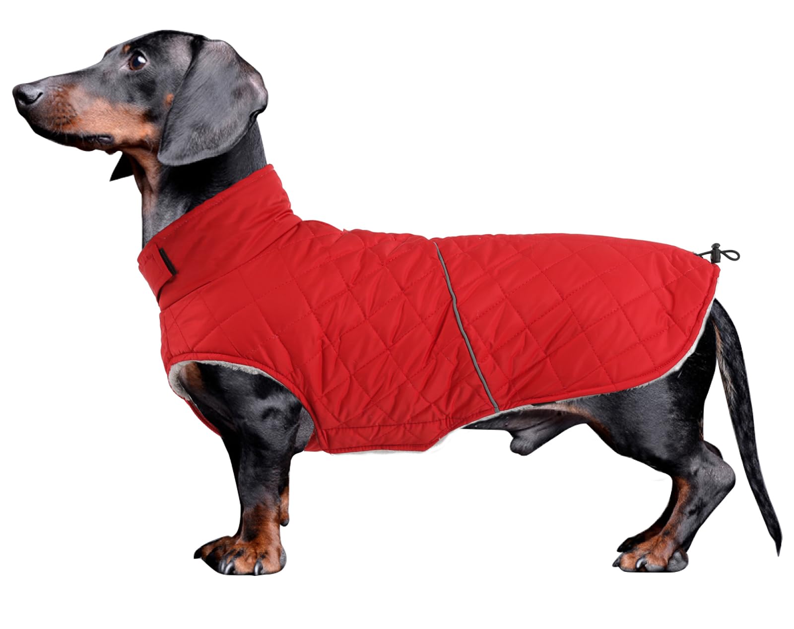 Pethiy Dog Coat,Waterproof DOG coats,Fleece Lined warm dog coat dog jacket