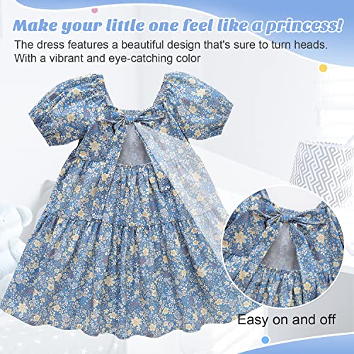 Zanie Kids Easter Dresses for Girls Baby Girl Summer Dress Playwear Family Photo Outfits3