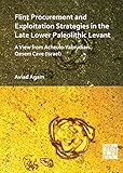 Flint Procurement and Exploitation Strategies in the Late Lower Paleolithic Levant: A View from Acheulo-Yabrudian Qesem Cave (Israel)