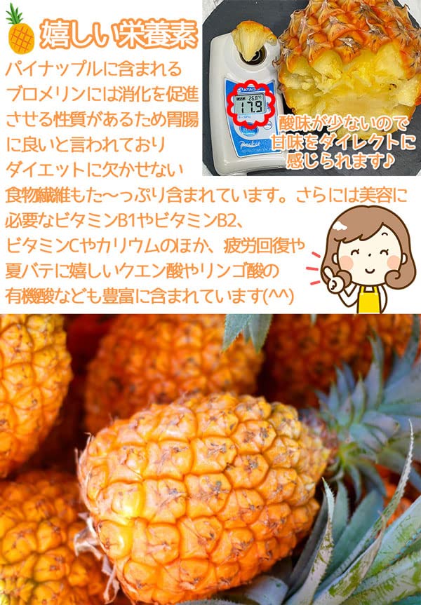 Amazon.co.jp: パイナップル 沖縄産 スナックパイン 3-5玉入 2kg以上