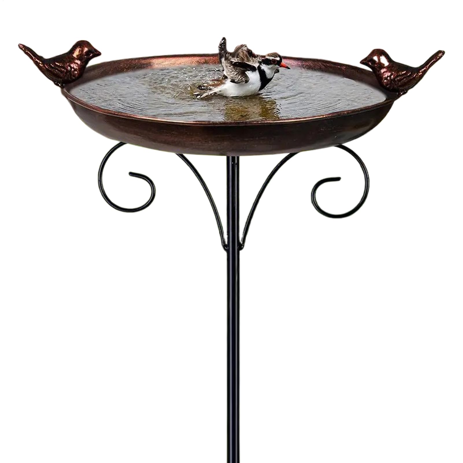 Bol pour bain d'oiseaux -abreuvoir multifonctionnelle