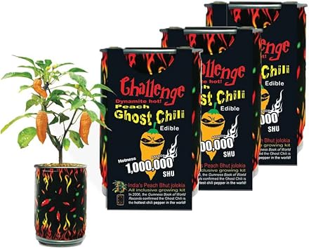 Peach Ghost Chili Pepper Grow Kit by Magic Plant - 3 Kits - Superhot Orange Bhut Jolokia, Ignite Your Dishes and Drinks, DIY All-in-One Grow Kit, 800K-1M SHUs, Indoor - Outdoor Gardens or Gift