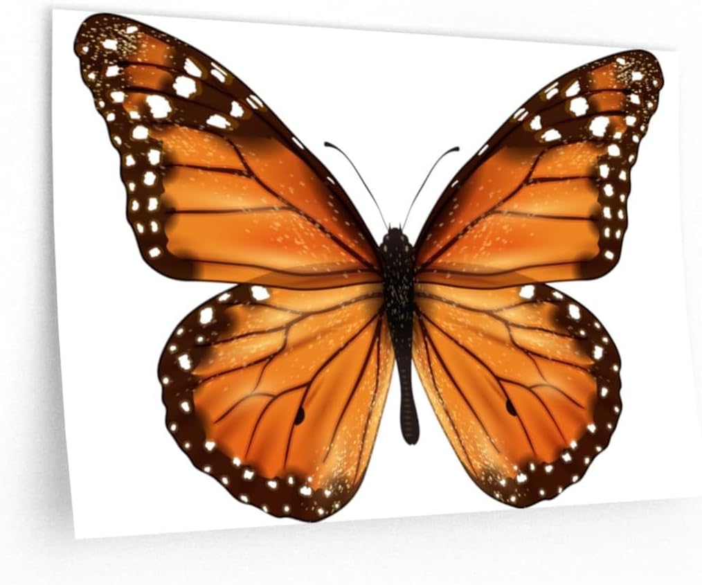 Monarch Butterfly Large Removable Wall Decals, Big Giant