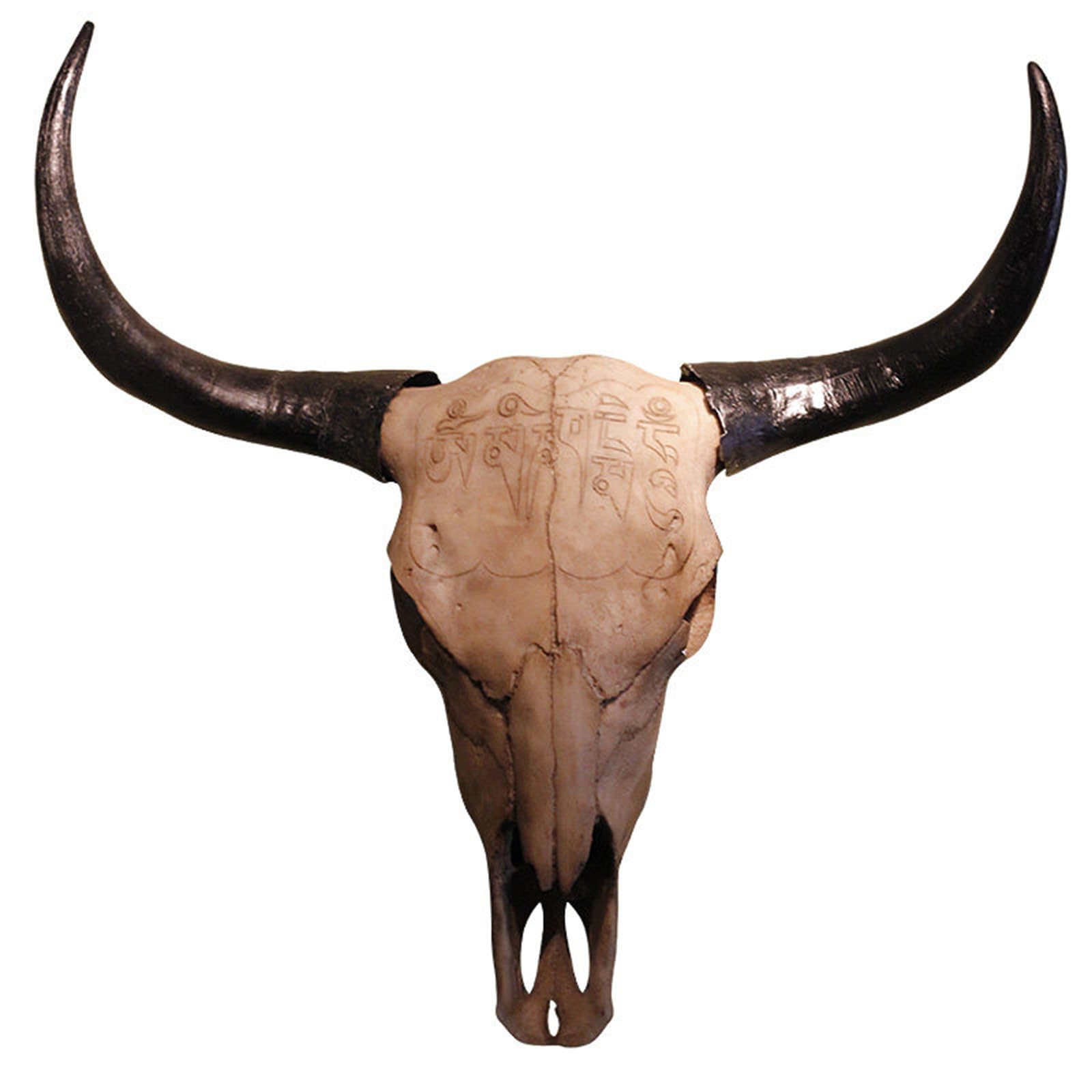 YXCQHZM Bull Skull Wall Hanging - 3D Long Horn Cow Skull Head Wall Hanging Resin Simulation Animal Head Statues Faux Taxidermy for Personalized Creative Home Decoration