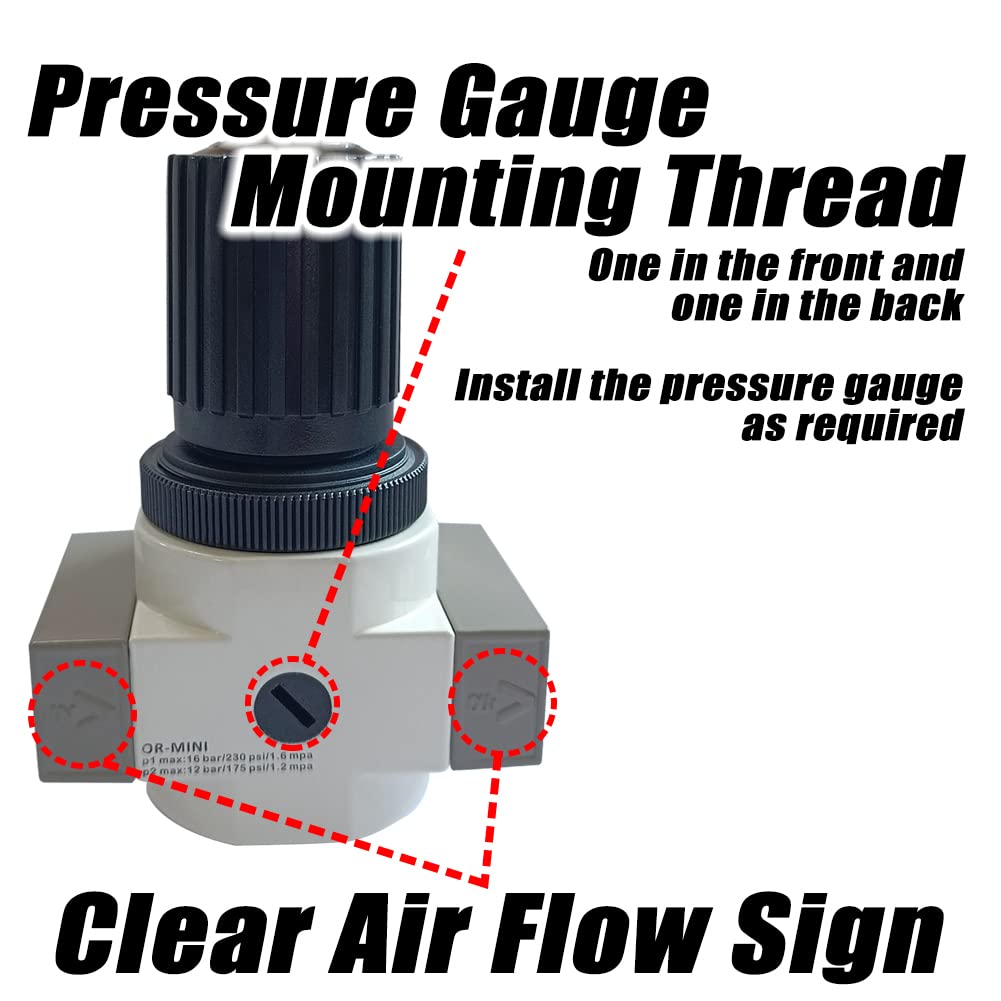 Regolatore di pressione dell'aria resistente 1/4" NPT 230Psi per il sistema ad aria compressa OR-02