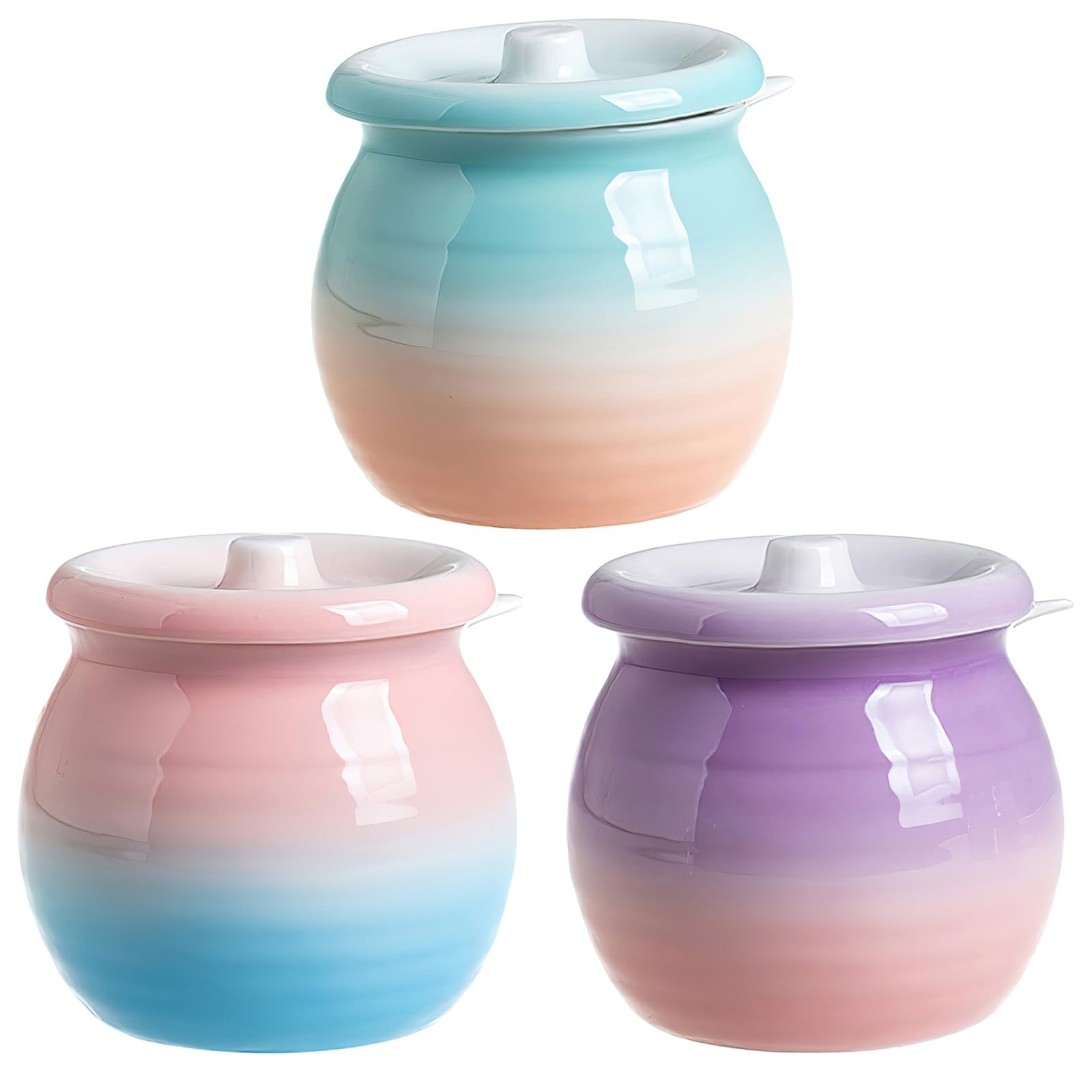 Azucarero de cerámica con tapa y cuchara, tarro de porcelana para sal y azúcar, recipiente para condimentos, tarro de almacenamiento de condimentos de pimienta para el hogar, cocina, 300 ml,