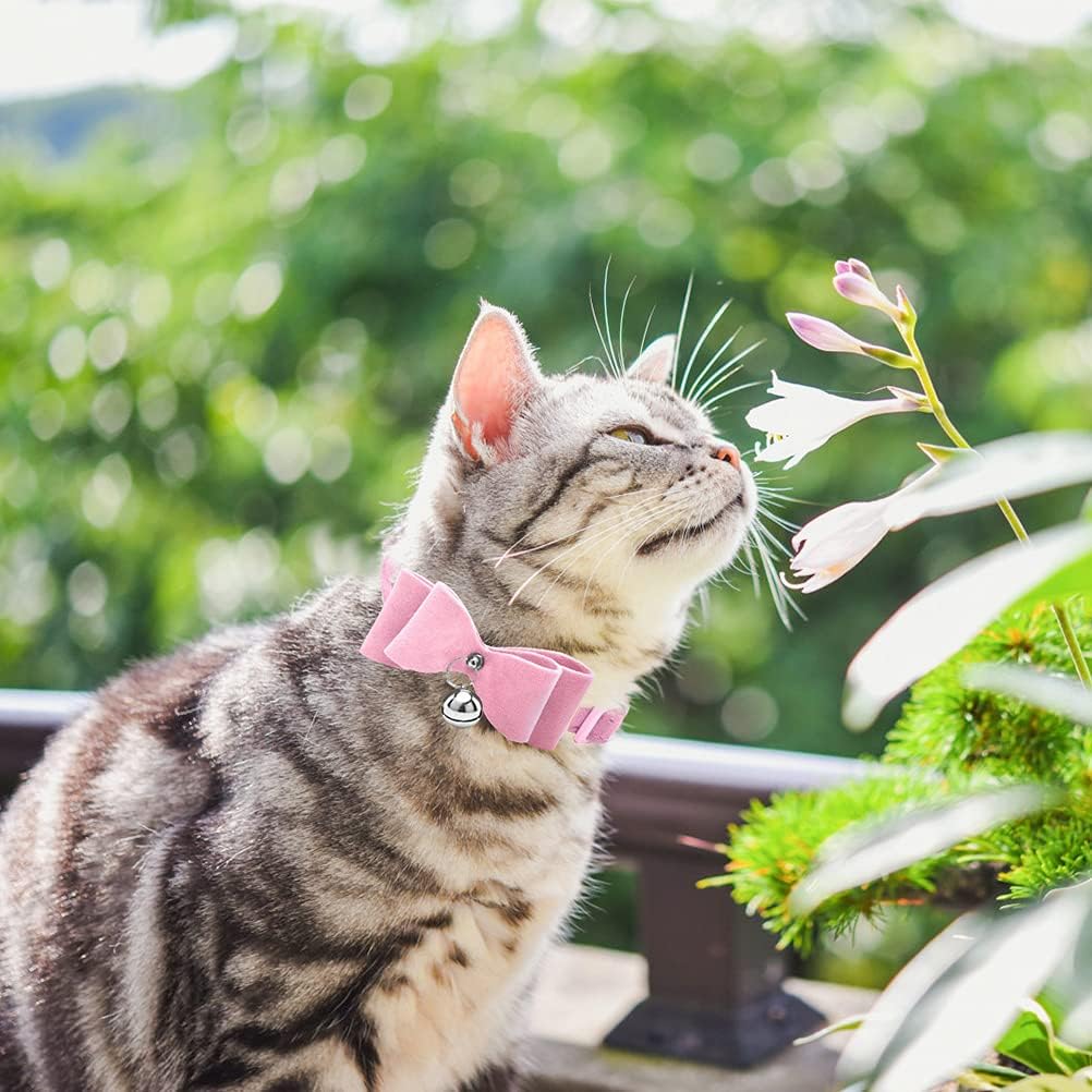 BINGPET 2 Pcs Breakaway Bowtie Cat Collar with Bell Adjustable Kitty Collars