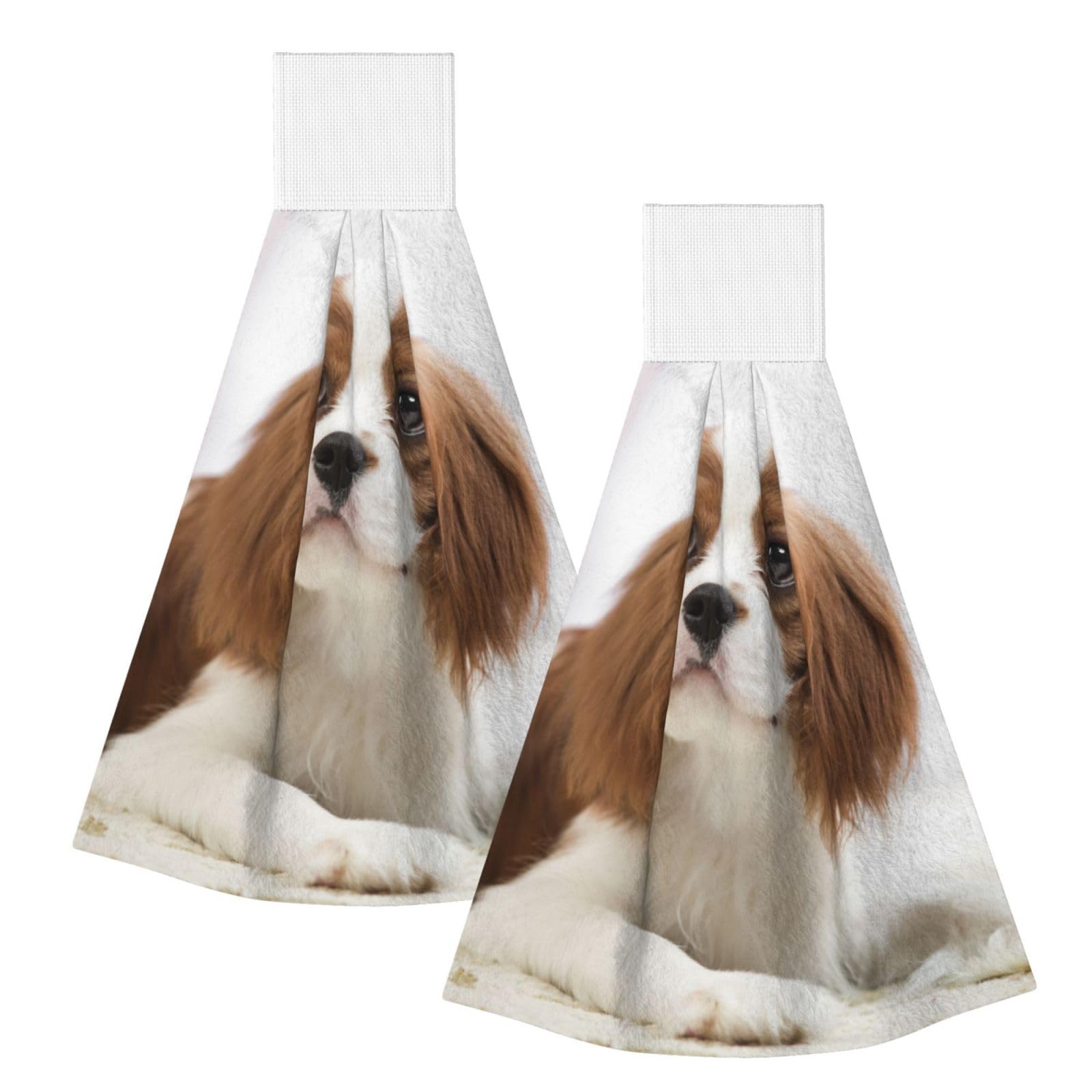 DOPKLNA Cavalier King Charles Spaniel Brown Spaniel, 2 Pcs Hanging Coral Fiber Hand Towels for Bathroom, Absorbent Kitchen Towels