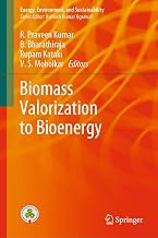 Biomass Valorization to Bioenergy (Energy, Environment, and Sustainability)