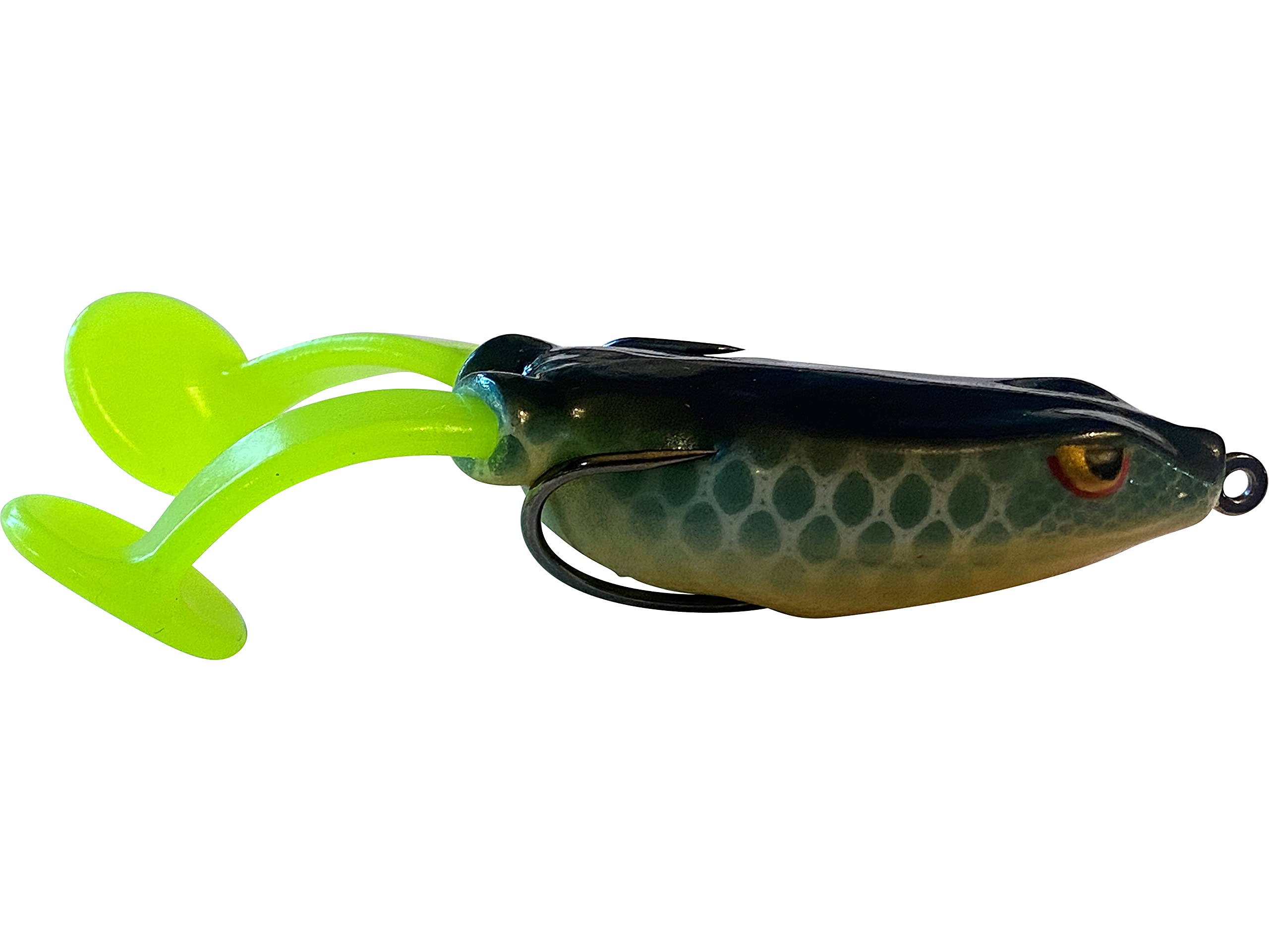 Blitz Buzz Phrog™ - Hollow Body Frog as seen in The BASSMASTER April 2020 Issue (Bluegill)