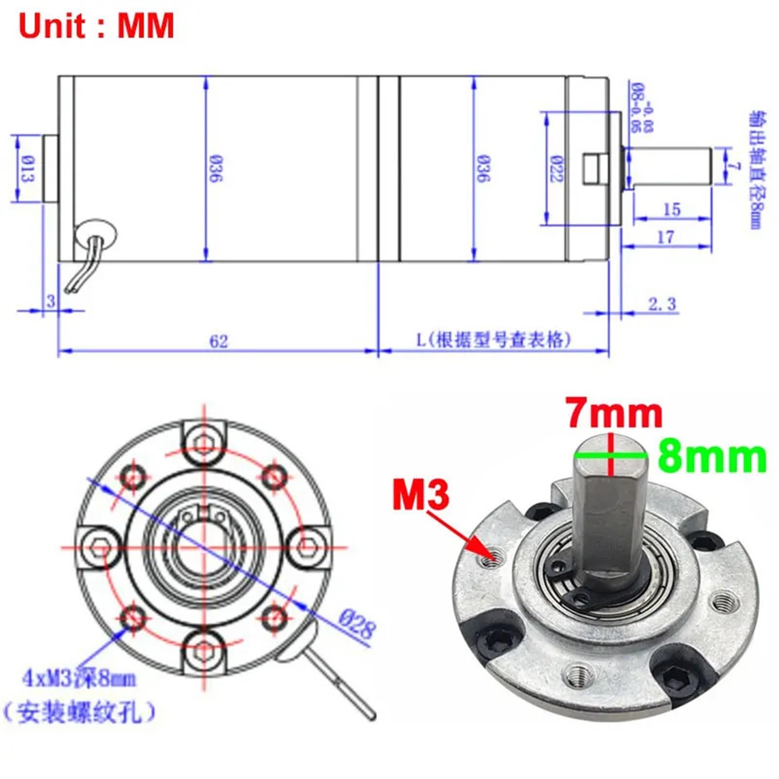 Motoriduttore epicicloidale CC 12V 24V 10-1538 Giri/min con Coppia Elevata, Bassa rumorosità, Lunga Durata, Reversibile, velocità Regolabile(12v 22rpm 80kg.cm)