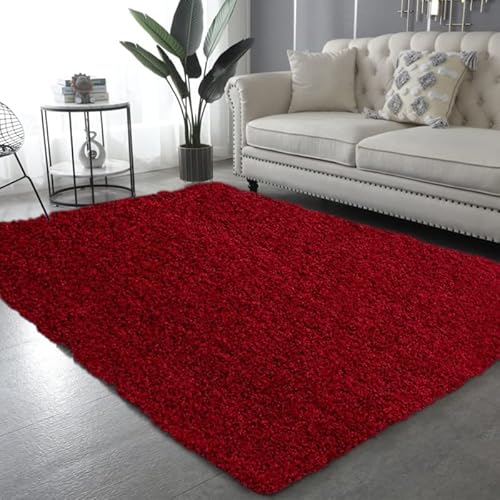 Dealx Xone Extra Thick Pile Fluffy Shaggy Rug Super Soft Modern Rugs, Living Room Large Area Rugs for Bedroom Non-Shedding Carpet Mat (Wine Red, 60X110 CM)