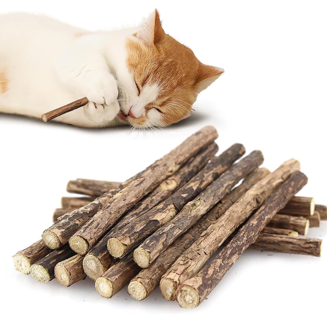 20 Bâtonnets Dentaires Pour Chats, Bâtonnets À Mâcher En Bois, Jouet Pour L'Hygiène Dentaire Des Chats, Jouet De Chat Autodivertissant, Taille 0.6cm, Marron
