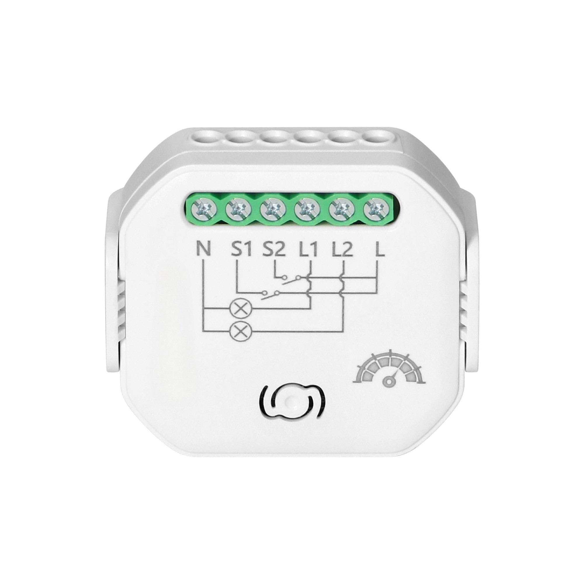 Interruttore Wifi/Bluetooth Relè Wifi Tuya Smart Controllo Remoto Rele per Luci Montaggio in Scatola di Giunzione o su Guida DIN (relè con dimmer - 2 canali)