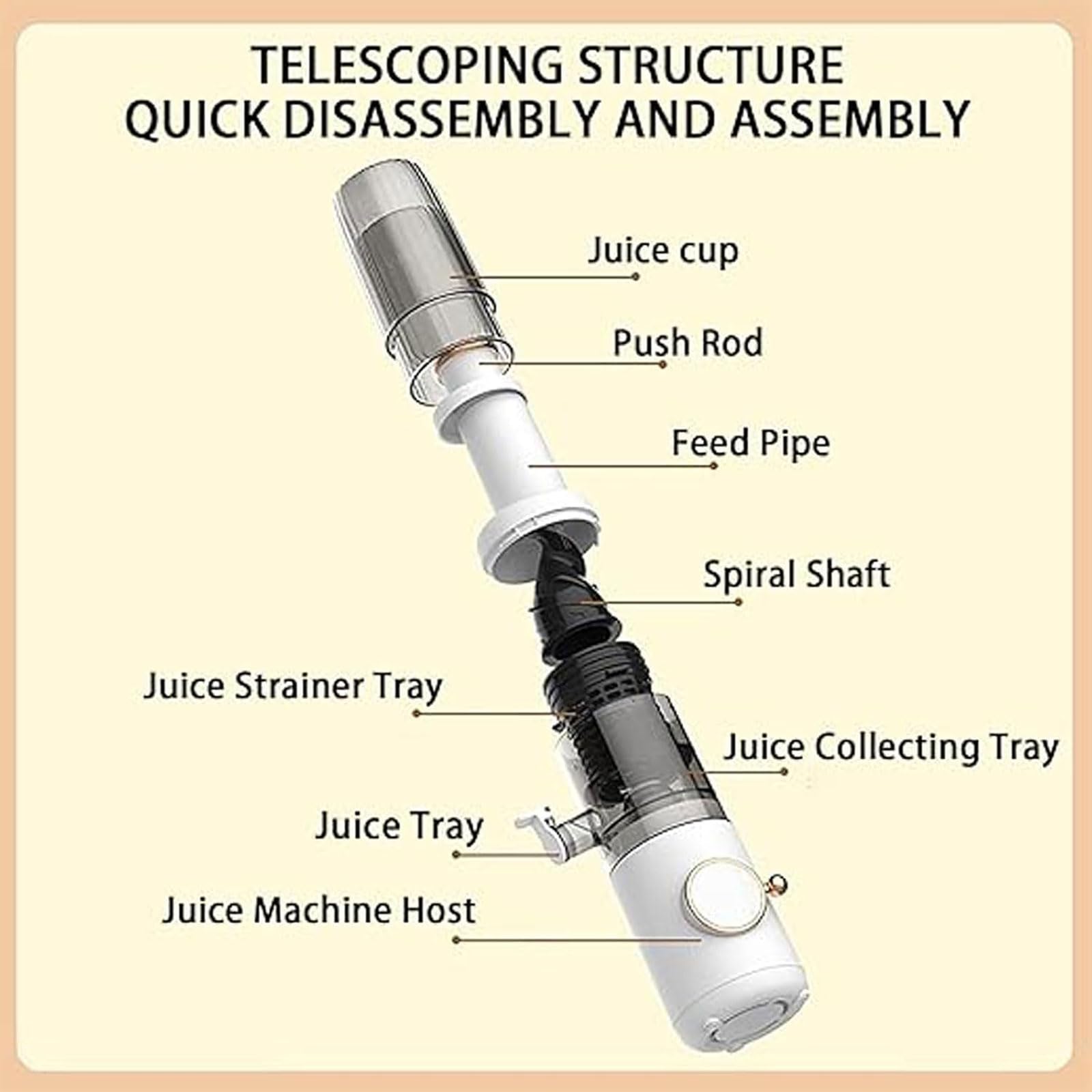 Elektrischer Entsafter 625ml - Multifunktionaler Haushalt Slow Juicer mit Rückstandstrennung für Wassermelone, Birne, Karotte, Tomate, Gurke, Zitrone