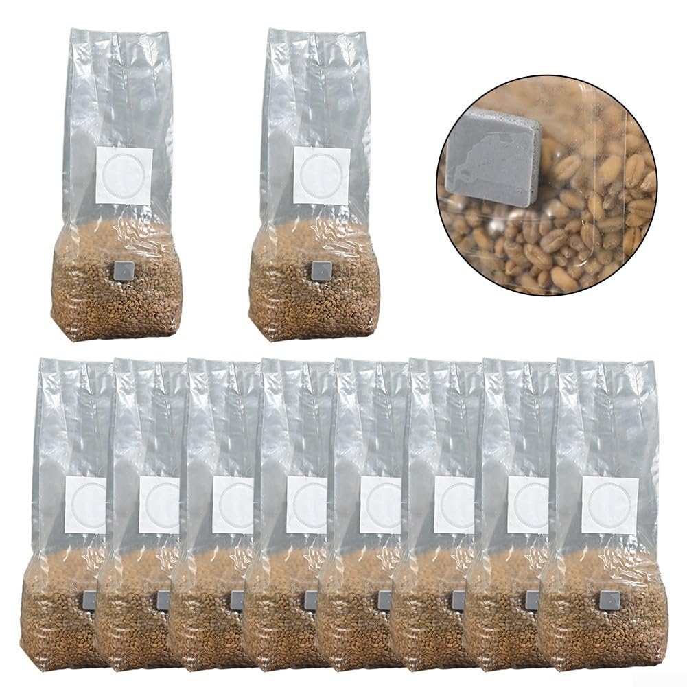 Zilimontt Lot de 10 sacs de culture de champignons stérilisés à haut rendement pour gourmet et champignons, résistants aux températures, 18 x 35 cm