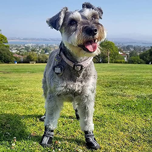QUMY Dog Shoes for Small Dogs, Puppy Dog Boots & Paw Protectors for Winter Snow Day, Summer Hot Pavement, Waterproof in Rain Weather, Ourdoor Hiking, Indoor Hardfloor Skid-Resistant Sole Blue Size 5 by QUMY - Image 6