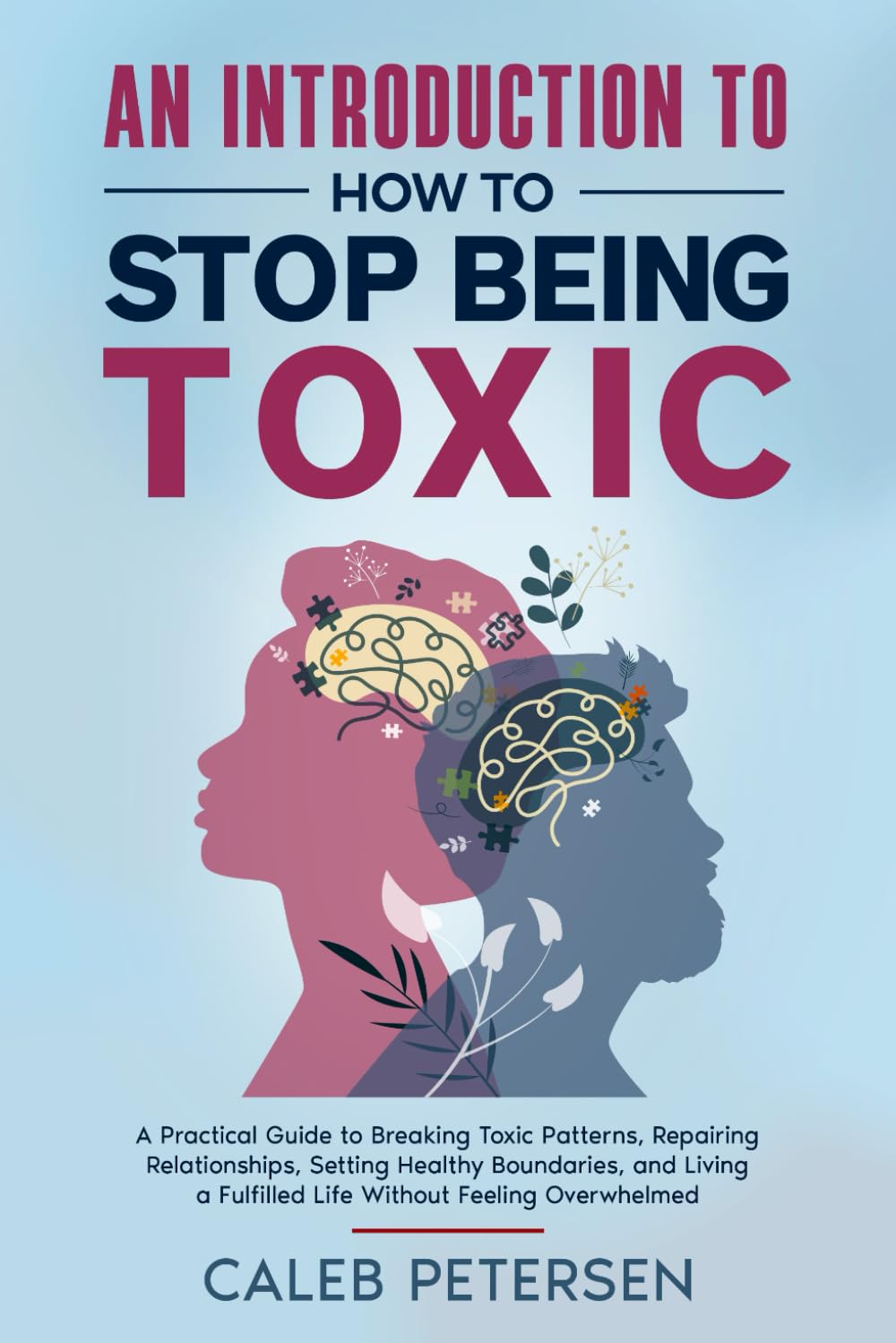 An Introduction to How to Stop Being Toxic: A Practical Guide to Breaking Toxic Patterns, Repairing Relationships, Setting Healthy Boundaries, and ... Feeling Overwhelmed (Toxic to Thriving)